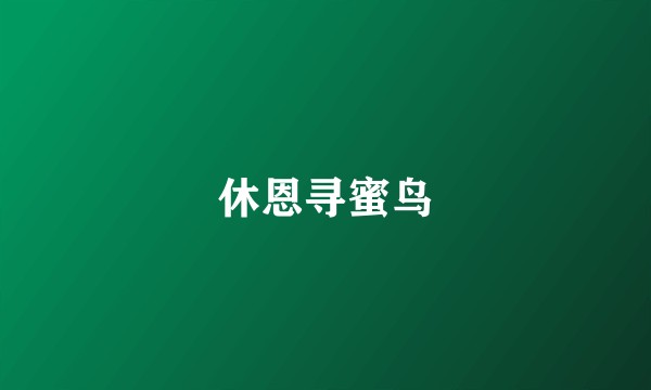 休恩寻蜜鸟