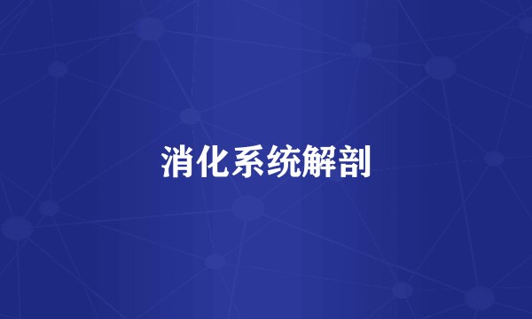 消化系统解剖