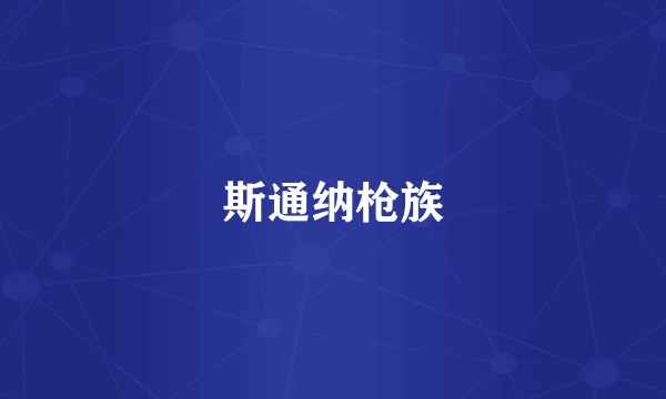 斯通纳枪族