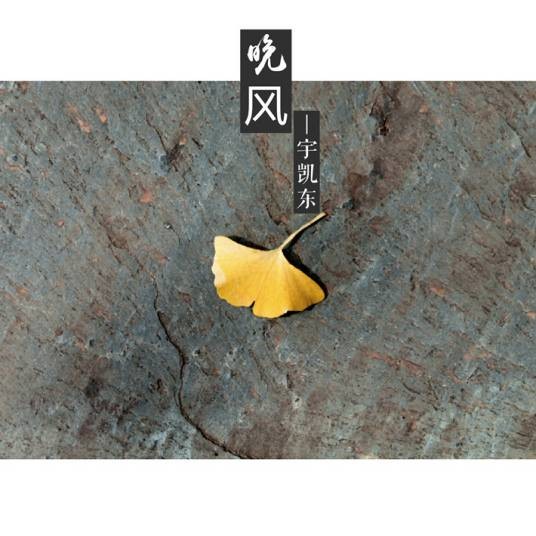 晚风（洪永忠演唱歌曲）