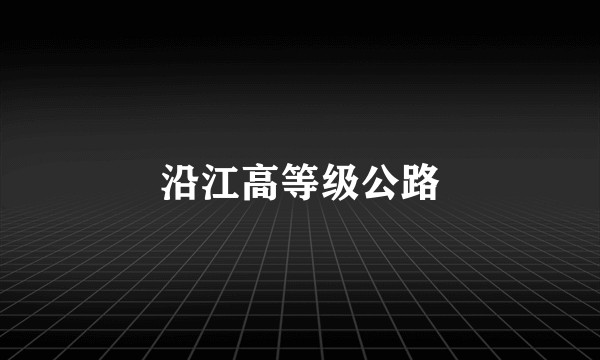 沿江高等级公路