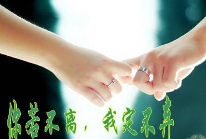 你若不离我就不弃