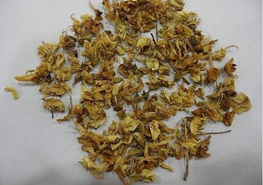 槐花(中药)