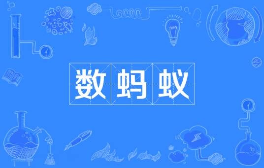 数蚂蚁
