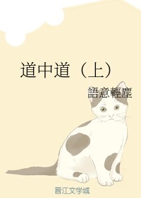 道中道（上）