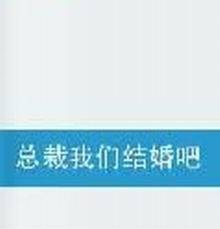 总裁我们结婚吧（小熊哭了创作的言情类小说）