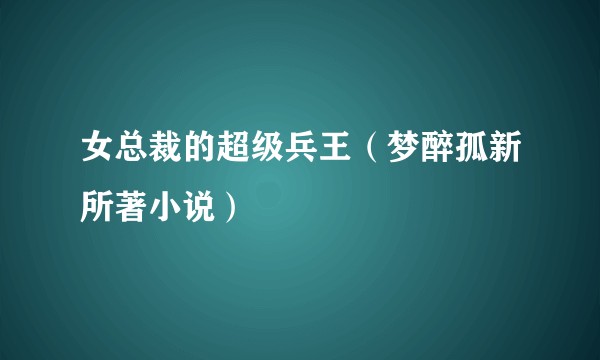 女总裁的超级兵王（梦醉孤新所著小说）