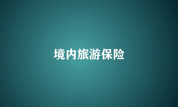 境内旅游保险