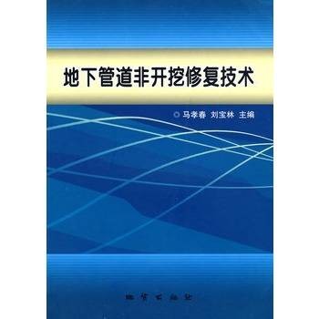 地下管道非开挖修复技术