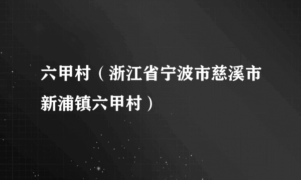 六甲村（浙江省宁波市慈溪市新浦镇六甲村）