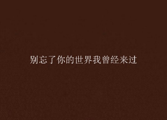 别忘了你的世界我曾经来过（网络小说）