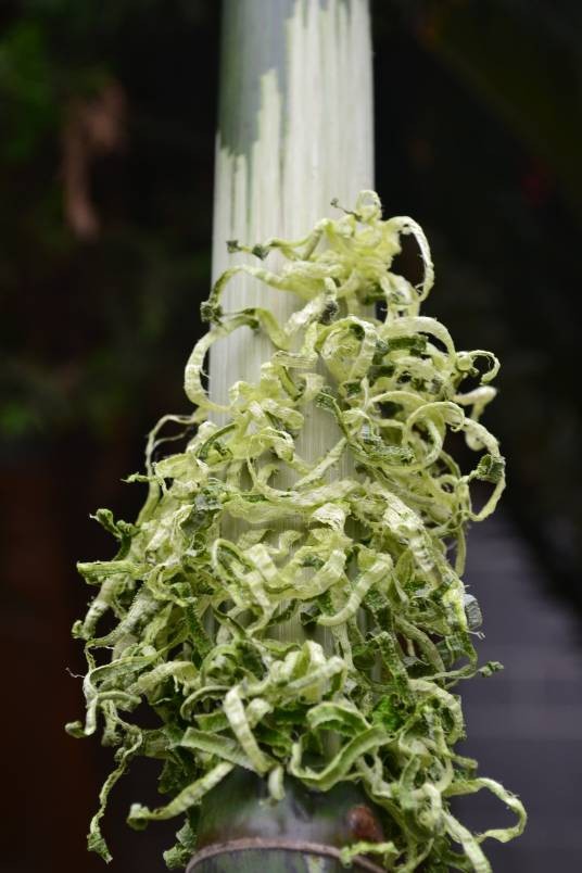 青竹（文豪雕塑作品）