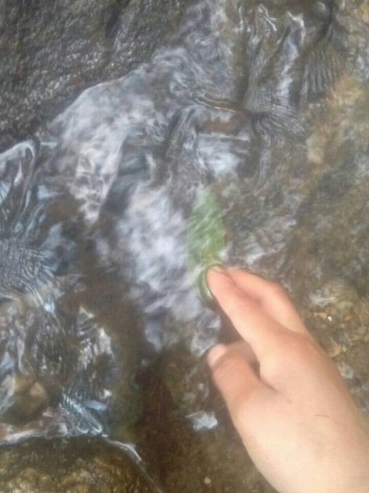 倾城天下心