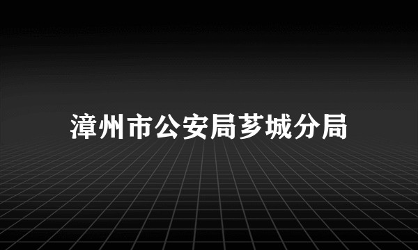 漳州市公安局芗城分局