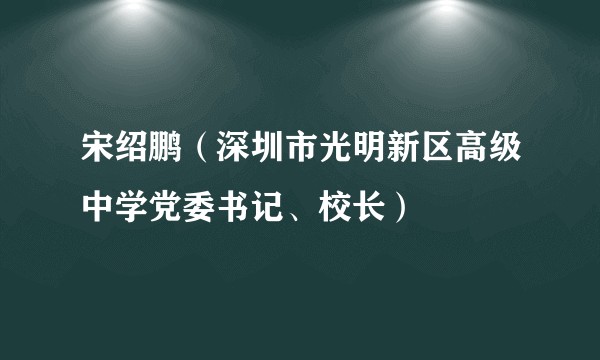 宋绍鹏（深圳市光明新区高级中学党委书记、校长）