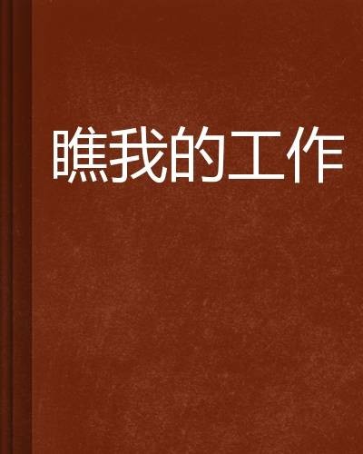 瞧我的工作