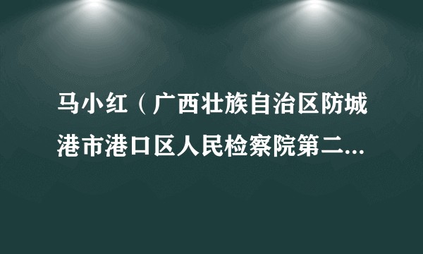 马小红(广西壮族自治区防城港市港口区人民检察院第二检察部主任)