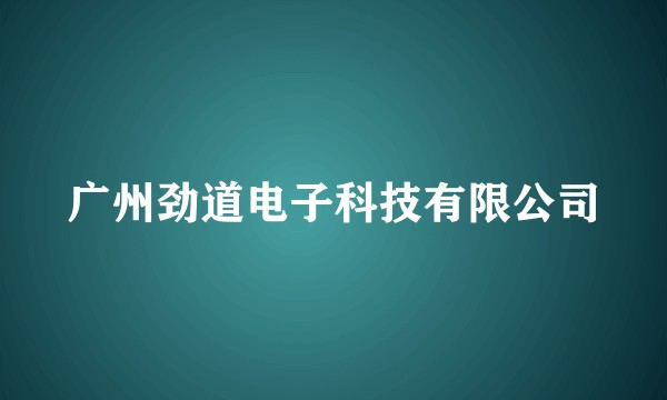 广州劲道电子科技有限公司