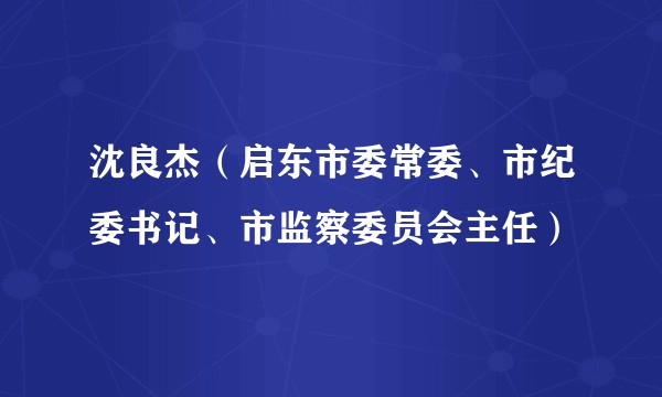 沈良杰（启东市委常委、市纪委书记、市监察委员会主任）