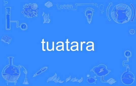 tuatara