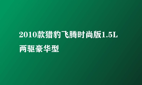 2010款猎豹飞腾时尚版1.5L两驱豪华型