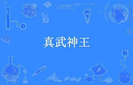 真武神王（蓝色苹果所著小说）