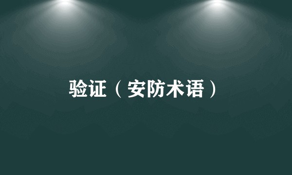 验证(安防术语)