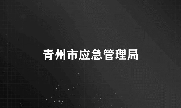 青州市应急管理局