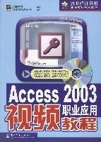 ACCESS2003职业应用视频教程