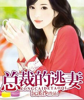酷总裁的逃妻