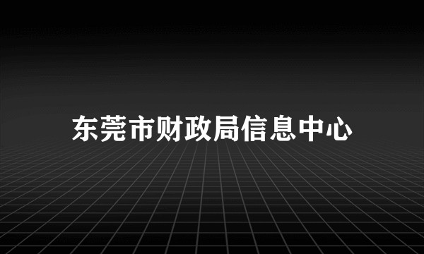 东莞市财政局信息中心
