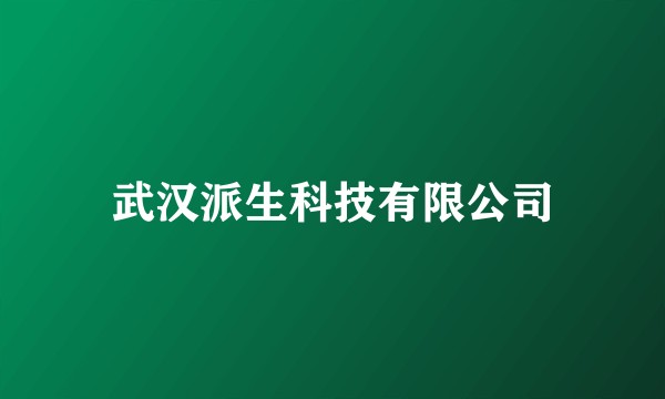 武汉派生科技有限公司