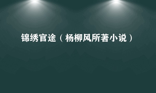 锦绣官途（杨柳风所著小说）
