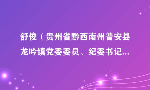 舒俊（贵州省黔西南州普安县龙吟镇党委委员、纪委书记、县监察委员会派出龙吟镇监察办公室主任）