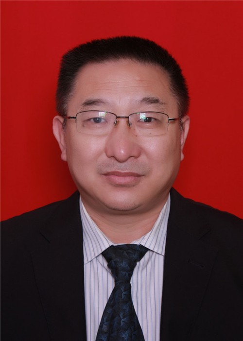 陈金文(广西民族大学文学院教授)