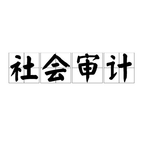 社会审计(独立审计)