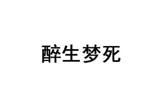 醉生梦死（DV电影）
