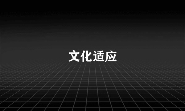 文化适应