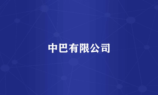 中巴有限公司