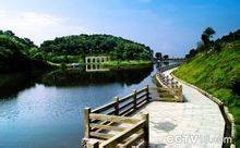 良田村（广东省广州市白云区钟落潭镇下辖村）