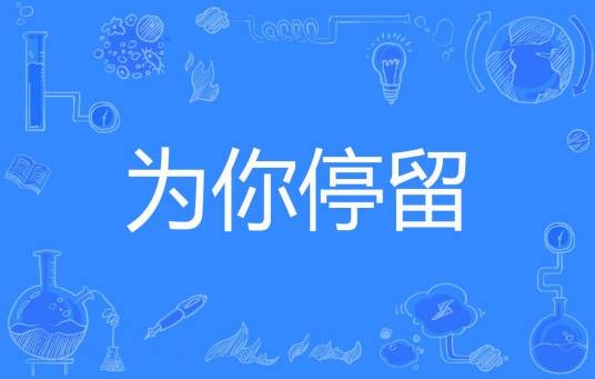 为你停留（木子虹著网络小说）