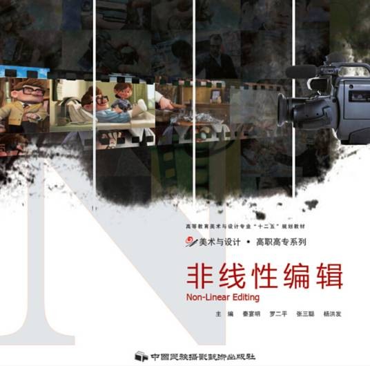非线性编辑(2010年中国民族摄影艺术出版社出版的图书)
