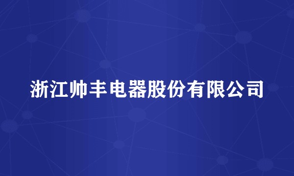 浙江帅丰电器股份有限公司