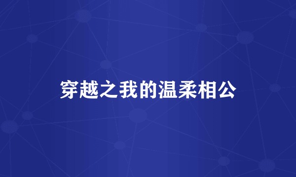 穿越之我的温柔相公