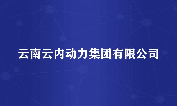 云南云内动力集团有限公司