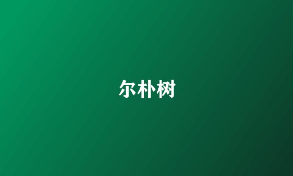 尔朴树