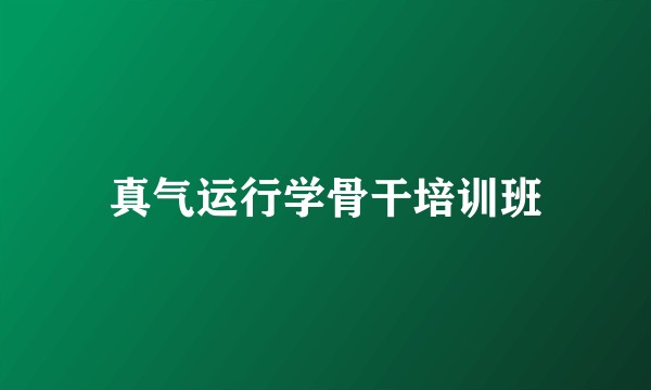 真气运行学骨干培训班
