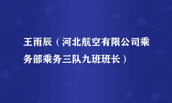 王雨辰（河北航空有限公司乘务部乘务三队九班班长）
