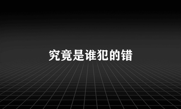 究竟是谁犯的错