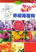 家养观花植物
